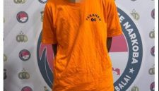 Tersangka pengedar narkoba di tangkap Polisi.(Ist)