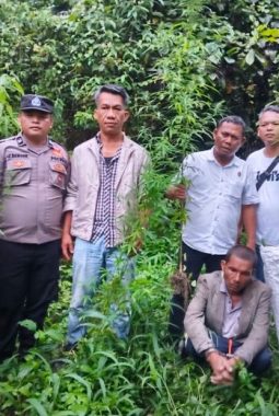 Polisi Tangkap Petani Ganja di Simpang Raya Dasma Simalungun